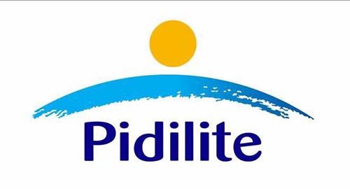 Top Chemical Companies-Pidilite Industries Ltd